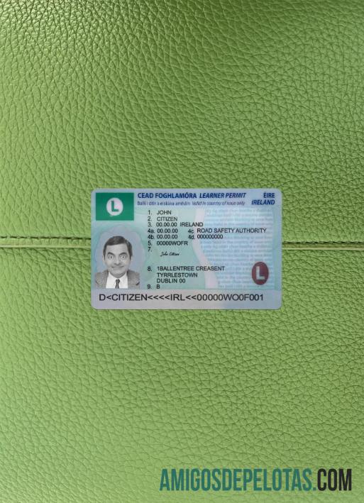 Carta de condução da Irlanda (permissão de estudante) 2022 Presente fotolook frente exemplo real